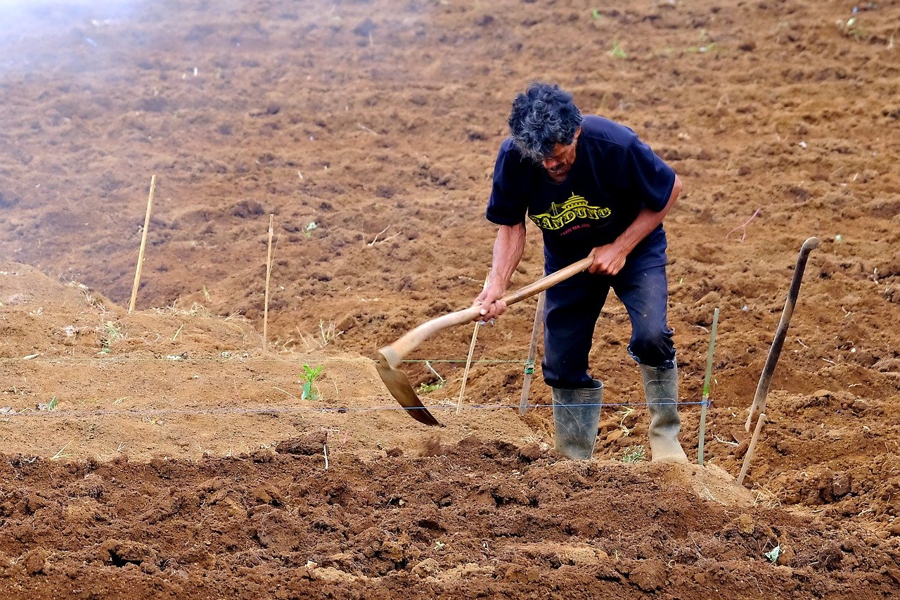 The Concept and Benefits of No-dig Gardens